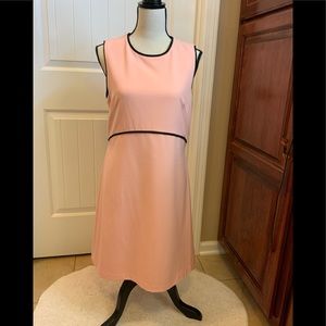 NWT Julie Brown Genevieve sz8 pink sheath